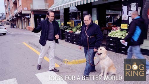 enseando a la familia a llevar a su perro adiestrado