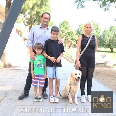 DOGKING, La decisin de adiestrar a nuestro perro