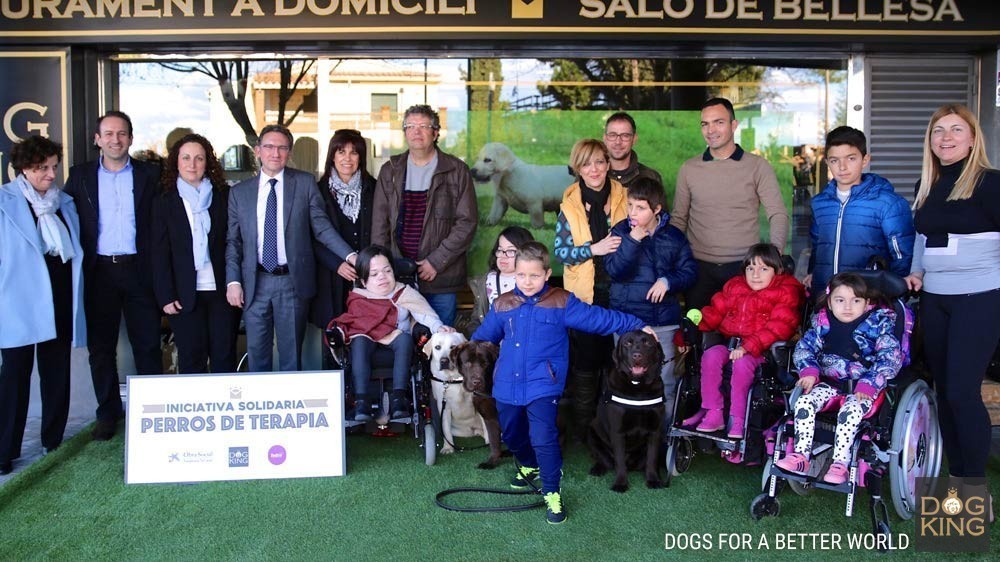 perro terapia asistencia dogking feder fundacion la caixa proyecto