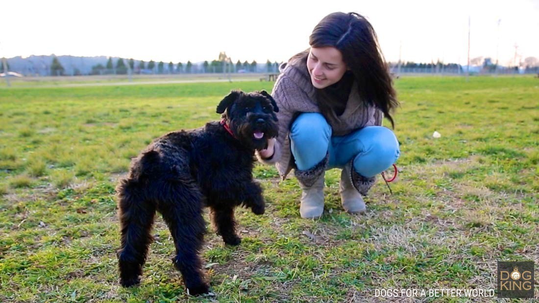 mujer con perro en el parque