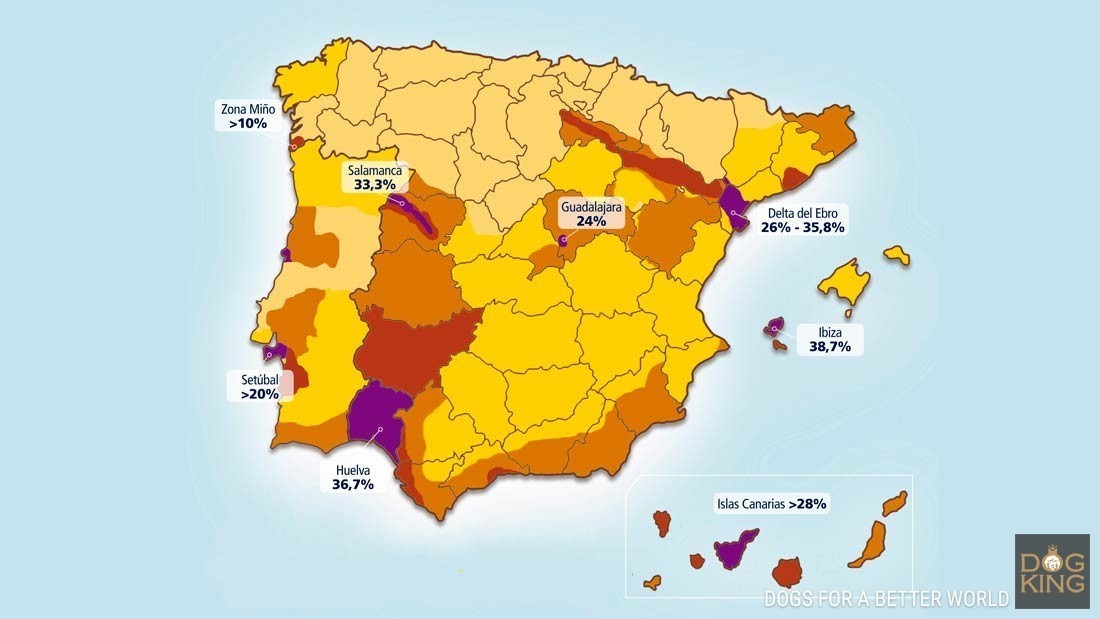 mapa espaa filariosis