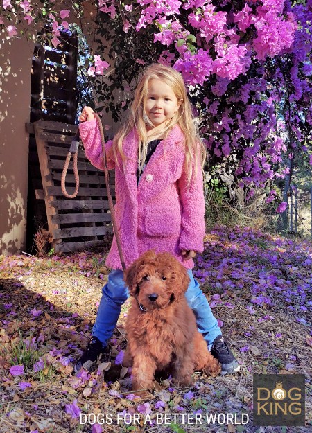 nia con cachorro esterilizado