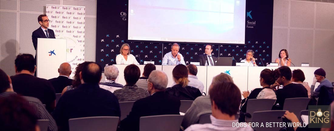 caixaforum antonio davalos ponencia presentación de la ponencia terapeutas caninos
