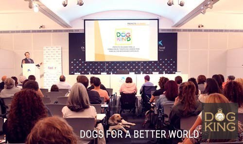 caixaforum antonio davalos ponencia presentacion proyecto social dogkind