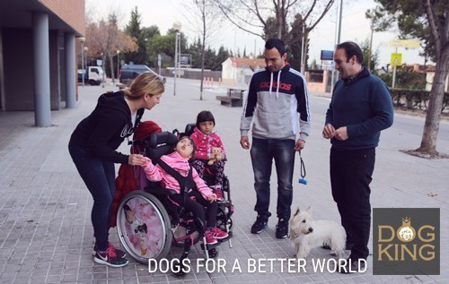 familia entrenando antonio davalos terapeuta canino