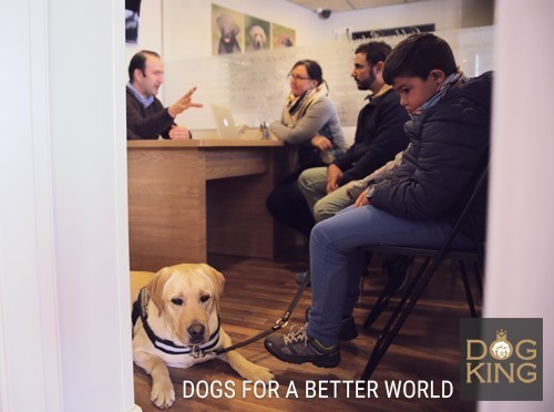 entrevista con educador canino perro terapia asistencia terapeuta canino