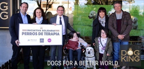 entrega perro de terapia asistencia 