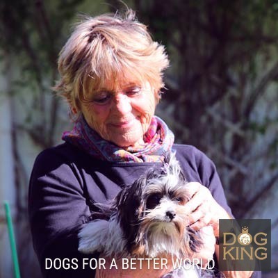 DOGKING, Chispa, la Biewer adiestrada DOGKING, Chispa, la Biewer adiestrada
