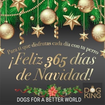 DOGKING, Feliz 365 das de Navidad!