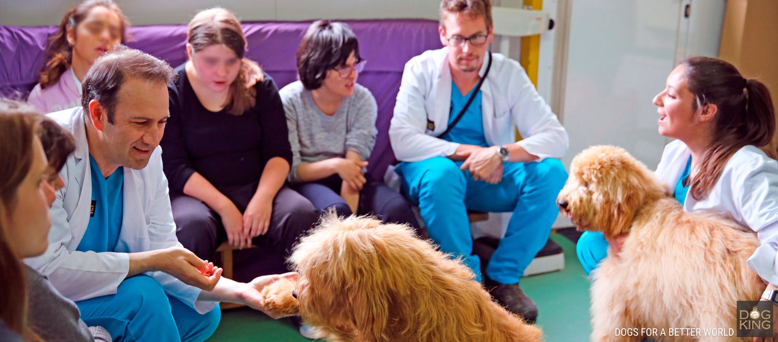terapias asistida con perros