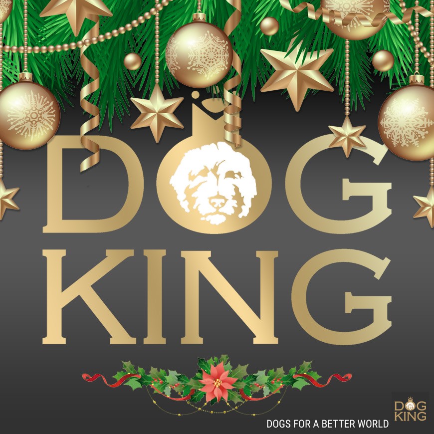 DOGKING, ¡Feliz Navidad y Feliz año nuevo! DOGKING, ¡Feliz Navidad y Feliz año nuevo!