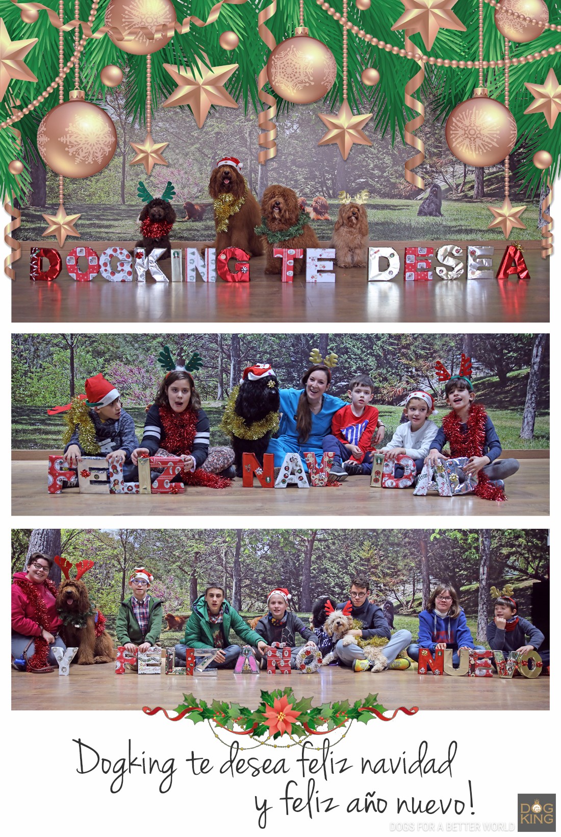 DOGKING, ¡Feliz Navidad y Feliz año nuevo! DOGKING, ¡Feliz Navidad y Feliz año nuevo!