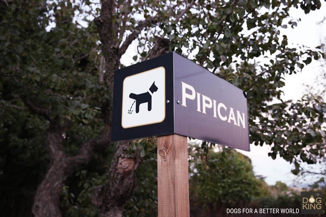 pipican