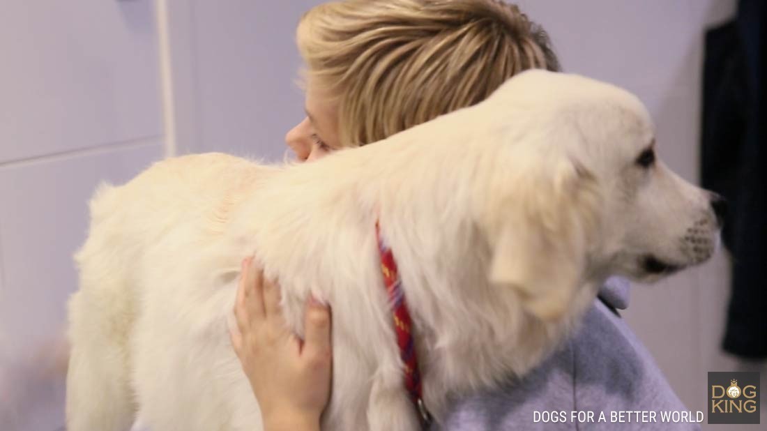 nio abraza a su cachorro golden retriever