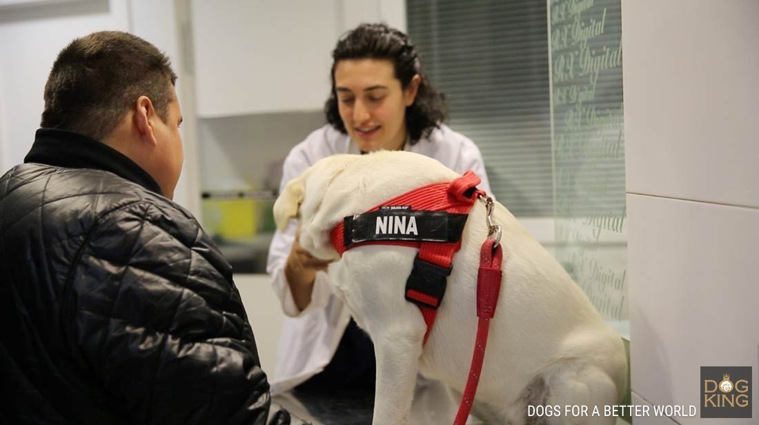 edu en el veterinario