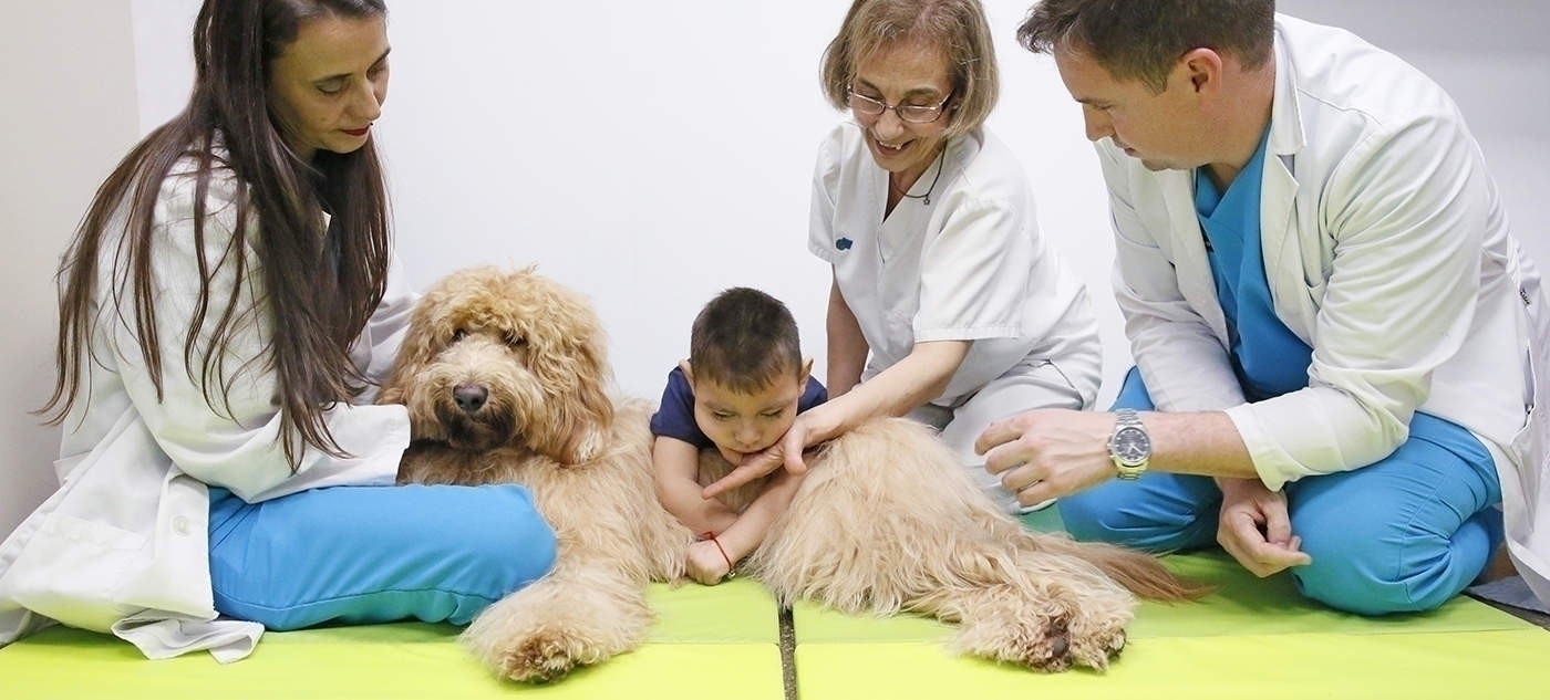 comprar perro cachorro terapia