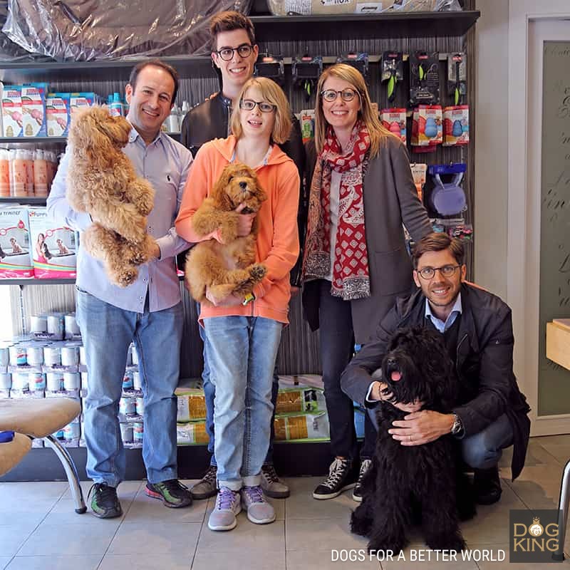 entrega de un cachorro de bichn malts